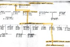 new-lyonfamilytree